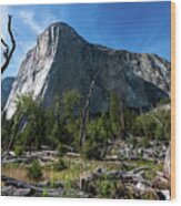 The Gravity Of El Cap Wood Print