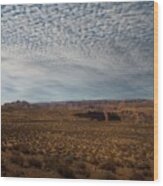 The High Desert Of Northern Arizona Wood Print