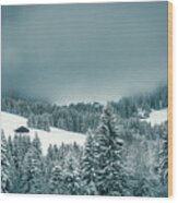 The Last Winter Refuge Wood Print