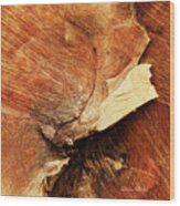 The Log Wood Print