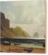 The Marina Piccola At Capri Wood Print