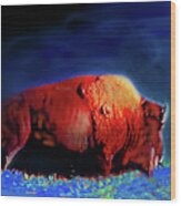 The Noble Bison Wood Print