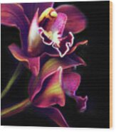 The Painted Orchid Wood Print