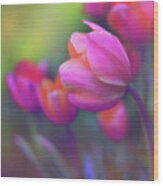 The Painted Tulip Wood Print