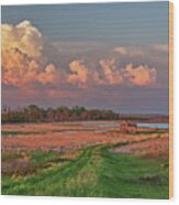 The Path Home - Series - Stensby Farm Homestead In Benson County Nd Wood Print
