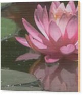 The Pink Lotus Wood Print