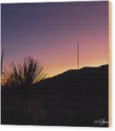 The Silhouette Of A Cactus At Sunset Wood Print