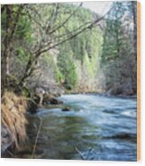 The South Fork Of The Mckenzie River Wood Print