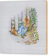 The Tale Of Peter Rabbit Ab15 Wood Print