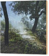 The Trail To Citania De Briteiros Wood Print