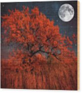 The Tree That Spoke To The Moon Wood Print