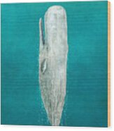 The Whale - Full Length Wood Print