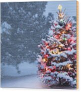 This Tree Glows Brightly On Snow Covered Foggy Christmas Morning Wood Print