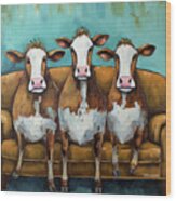 Three Comfy Cows Wood Print