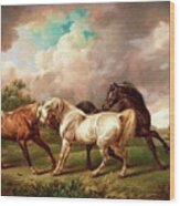 Three Horses In A Stormy Landscape Wood Print