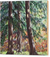 Three Pines On An Autumn Morning Wood Print