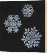 Three Snowflakes On Black Background - 2 Wood Print