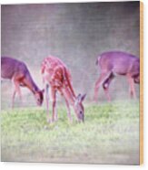 Three Whitetail Grazing Wood Print