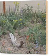 Thundervisions Studio Flowerbed Wood Print