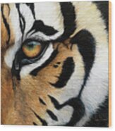 Tiger Eye Wood Print
