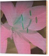 Tiger Lilly In Infrared Wood Print