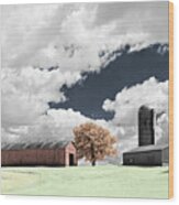 Tobaccoak - Hand Colorized Infrared Film Image Of Wi Tobacco Shed Farm Scene Wood Print