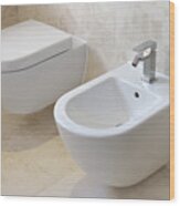 Toilet And Bidet Wood Print