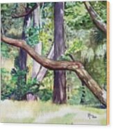 Tomoka Tree Wood Print