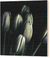 Tonal Tulips Wood Print