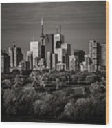 Toronto Skyline From Riverdale Park No 6 Wood Print