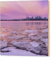 Toronto Winter Waterfront Skyline Wood Print