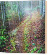 Trail In The Mist Wood Print