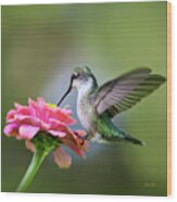 Tranquil Joy Hummingbird Square Wood Print