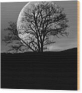 Tree And Moon Wood Print