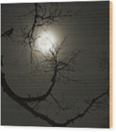 Tree Captures Wolf As Cardinal Looks On  - Wolf Moon With Hackberry Tree - Horizontal Crop Wood Print