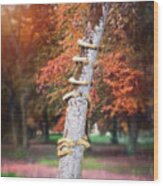 Tree Huggers Annecy France Wood Print