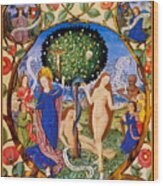 Tree Of Life And Death Flanked By Eve And Mary-ecclesia Wood Print