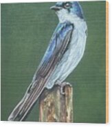 Tree Swallow Wood Print