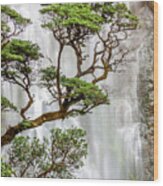 Trees And Waterfall Wood Print