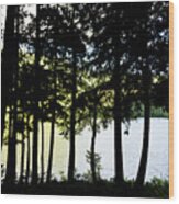 Trees At Alice Lake Wood Print