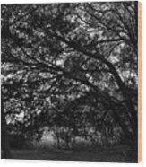 Trees, Hammock, Marshes Of Glynn Wood Print
