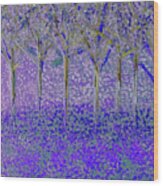 Trees In Quiet Purple Wood Print