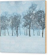 Trees In Winter Wood Print