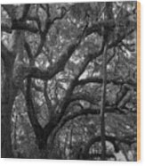 Trees, Tide Views Preserve, 2006 Wood Print