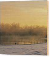Trexler Park Pond Foggy Winter Sunrise Wood Print