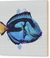Tropical Blue Dory Fish Wood Print