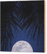 Tropical Moonglow Wood Print