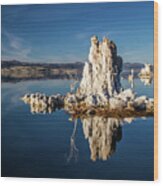 Tufa - Reflections Series #7 - Mono Lake, Ca, Usa - 2011 3/10 Wood Print