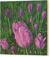 Tulip Garden Wood Print