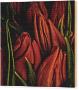 Tulips Fire , Impressive Close Up Bouquet Wood Print